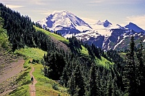 Hiking Toward Mt. Baker on Skyline Divide (h1)